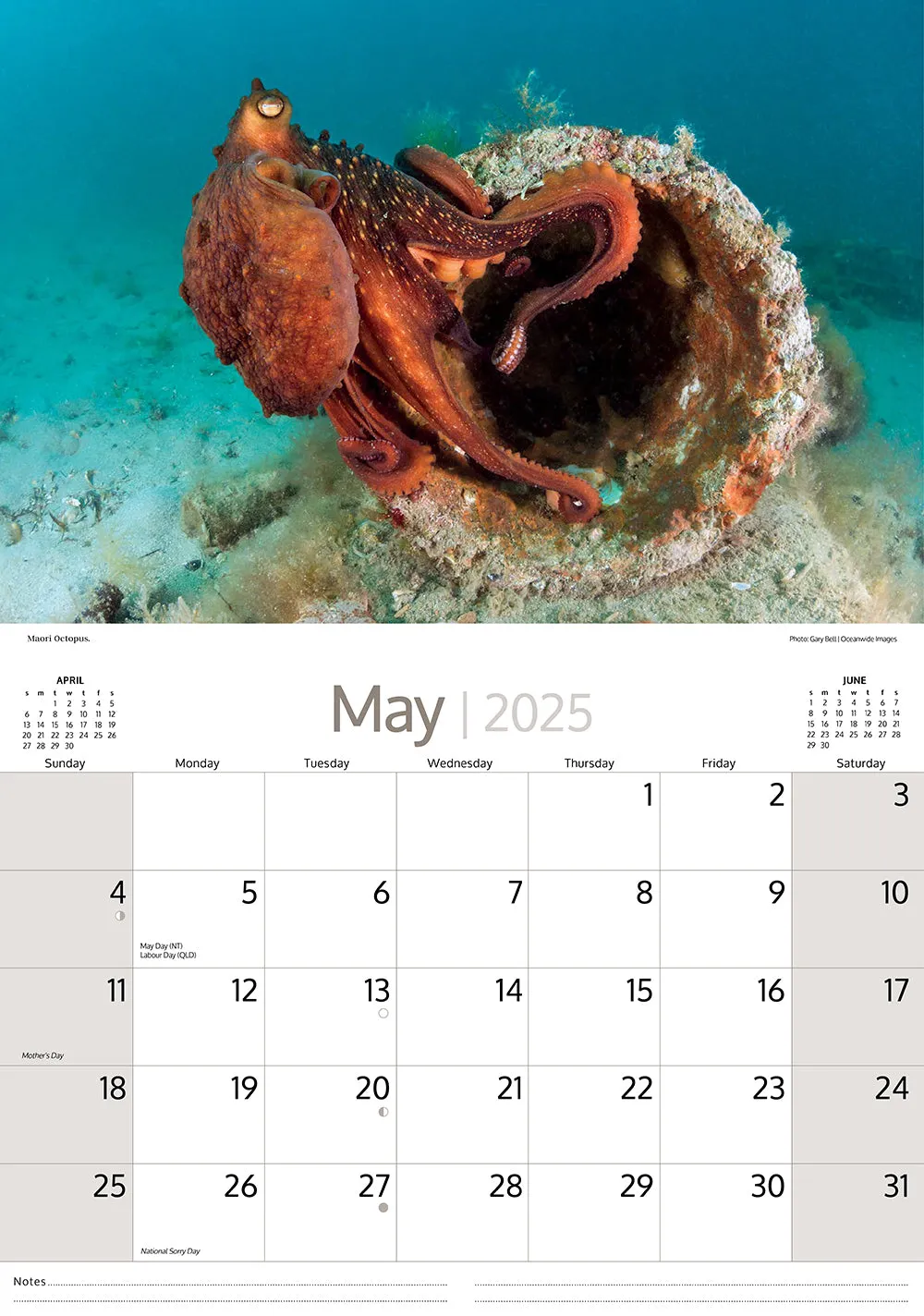 2025 Australian Marine Life Wall Calendar