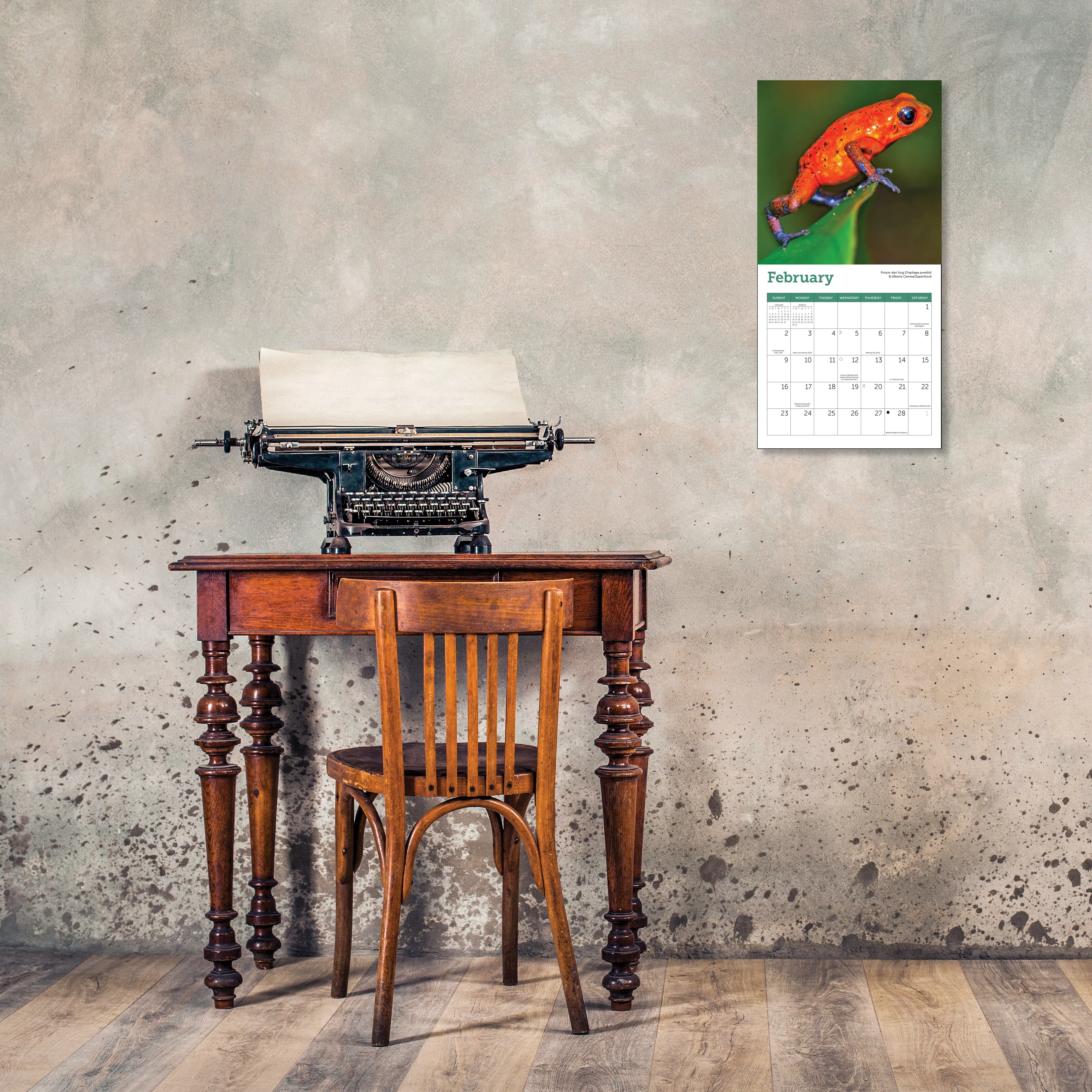 2025 Frogs Mini Wall Calendar