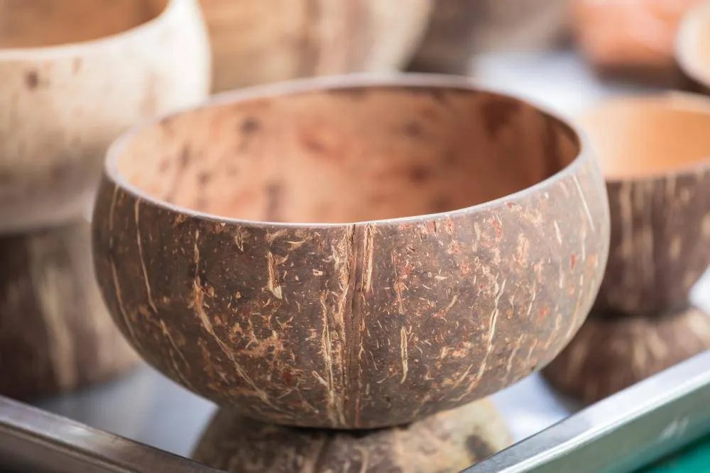 Coconut Bowl | Natural Matte Finish | Jumbo Size Snack Bowl