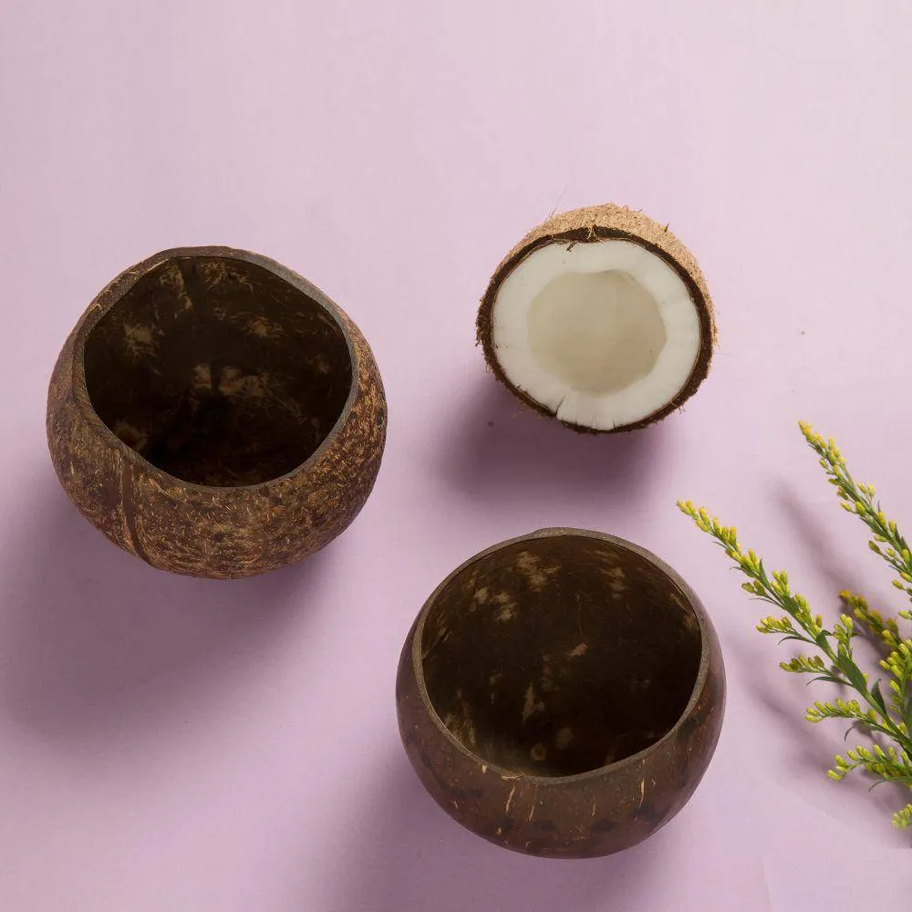 Coconut Bowl | Natural Matte Finish | Jumbo Size Snack Bowl