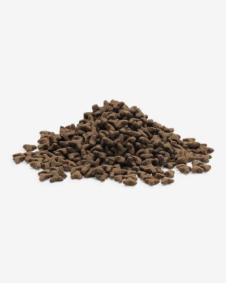 Essential The Little Lion (Kitten) – Duck Chicken & Salmon - 3kg