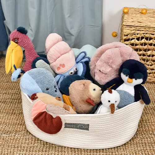 Histoire d'Ours Crab - 23cm