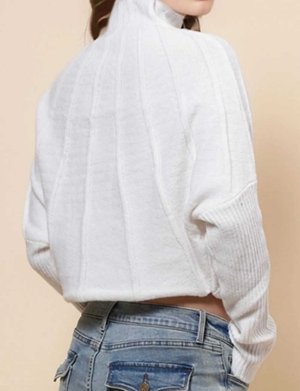 Ladies Solid Color Turtle Neck Pullover Sweater SKT4866