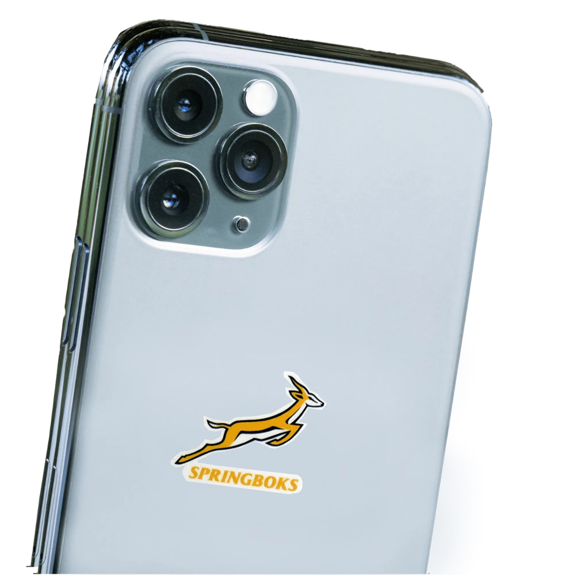 Springboks Sticker Sheet - Variety of 24 Stickers