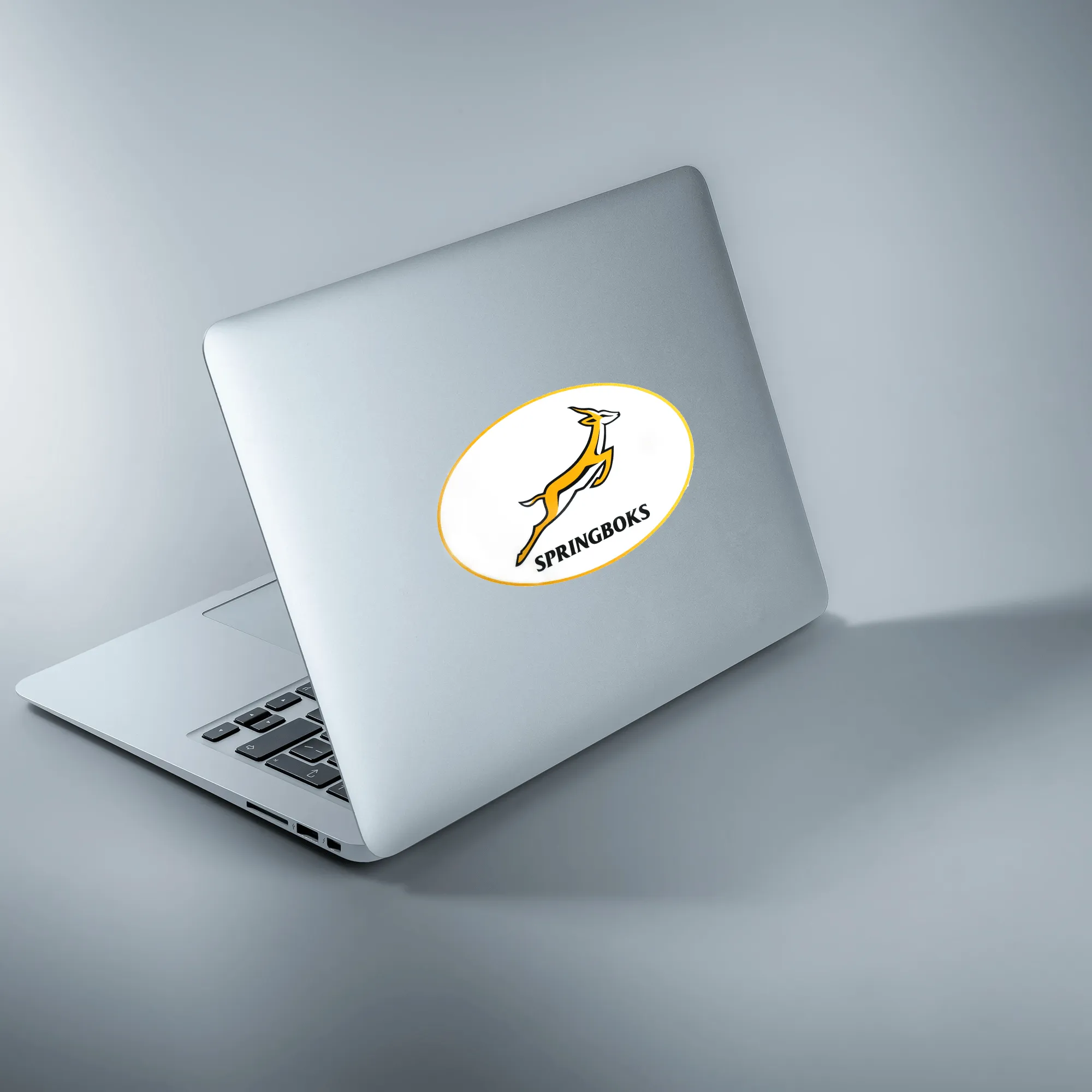 Springboks Sticker Sheet - Variety of 24 Stickers