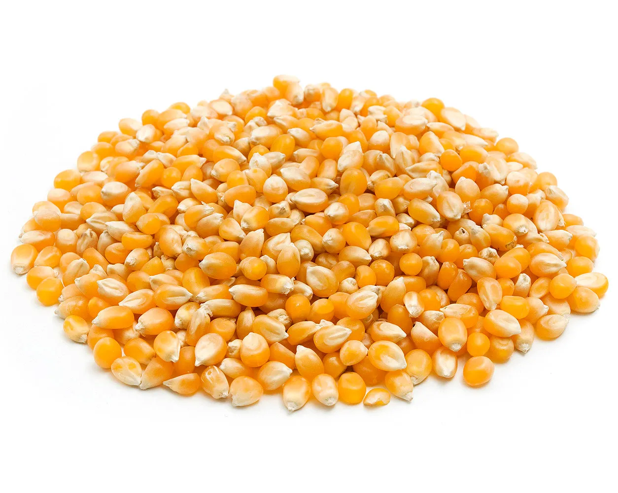 Yellow Popcorn 10 lbs