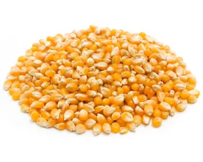 Yellow Popcorn 10 lbs